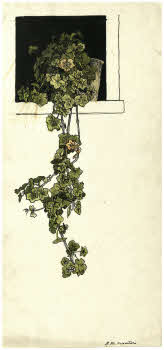 Visualizza l'immagine "FD D 2773"